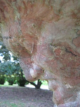 Thumbnail of 2-18-2.jpg