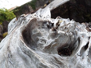 Thumbnail of 3-06-1.jpg