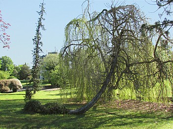Thumbnail of 3-14-3.jpg