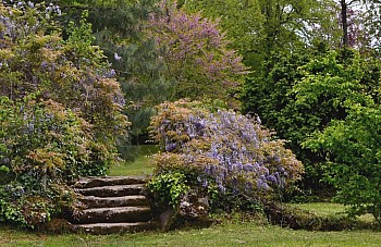 Thumbnail of 4-02-5.jpg
