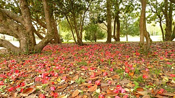 Thumbnail of 4-06-4.jpg