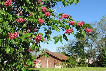 Thumbnail of 4-14-4.jpg
