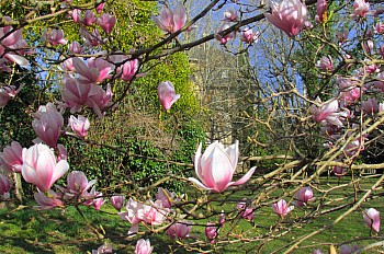 Thumbnail of 4-14-5.jpg