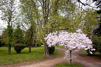 Thumbnail of 4-19-3.jpg