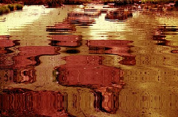 Thumbnail of 5-17-5.jpg