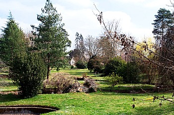 Thumbnail of 02-1-1_IMG_3569.jpg