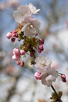 Thumbnail of 02-3-2_IMG_3662.jpg