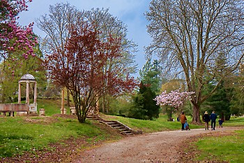 Thumbnail of 06-1-5_JFW02-2.jpg