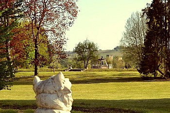 Thumbnail of 07-1-1_DSC_0928 aperspective.JPG