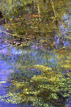Thumbnail of 11-1-4_Hambucken_Eau.jpg