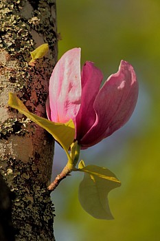 Thumbnail of 16-1-2_IMG_5155.jpg