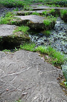 Thumbnail of 16-2-4_pas_de_geant.jpg
